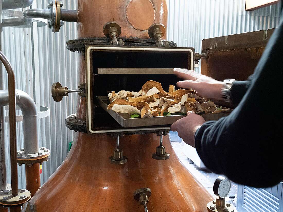 Botanicals being loaded into an opening on a copper still