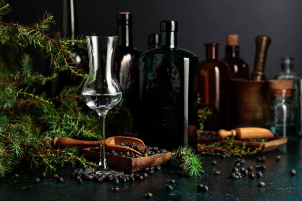 Clear gin served beside juniper branches and berries