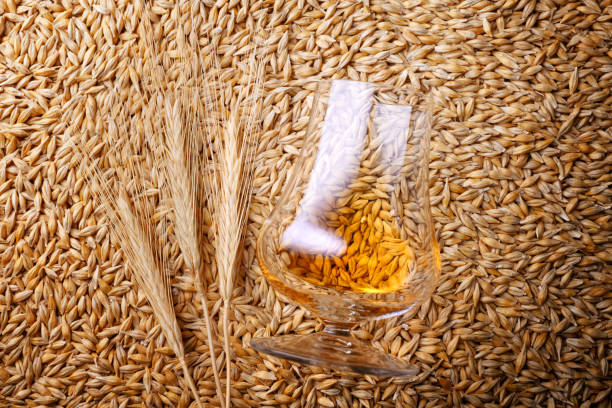 Whisky glass resting on rye grain